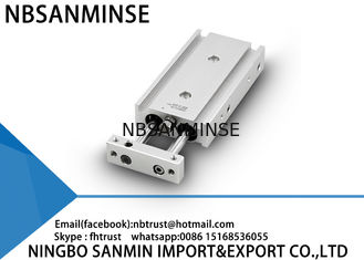 Custom Double Rod Pneumatic Air Cylinder Basic Type 6mm 10mm 15mm Bore Size