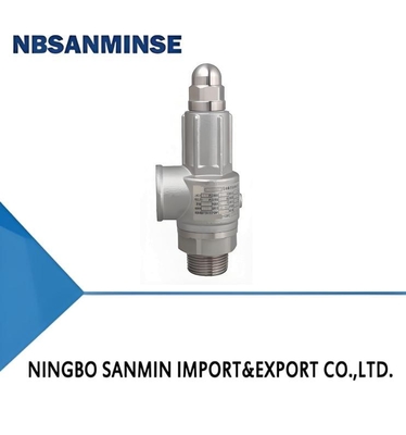 Stainless Steel Safety Valve 65bar Spring Loaded A21 Series