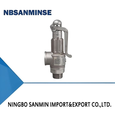 Stainless Steel Safety Valve 65bar Spring Loaded A21 Series