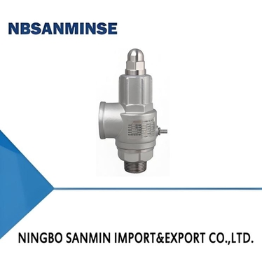 Stainless Steel Safety Valve 65bar Spring Loaded A21 Series