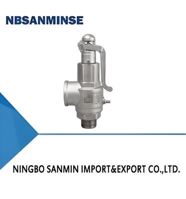 Stainless Steel Safety Valve 65bar Spring Loaded A21 Series