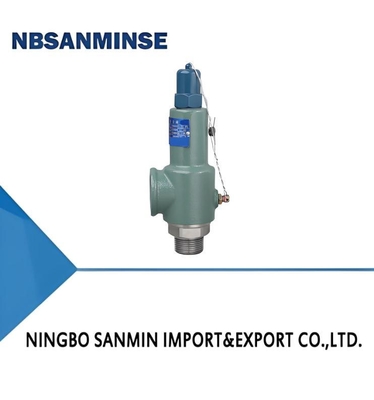 Iron Safety Valve with Wrench 35bar Pressure