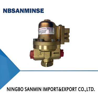 Pilot Valve