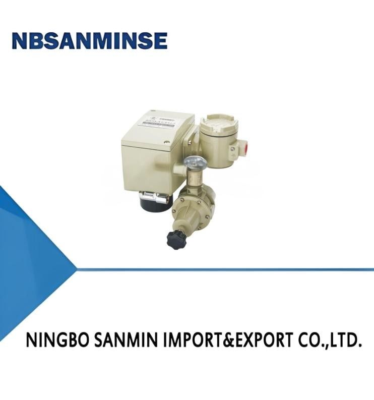 EPP1000 Sanmin Series electrical and gas valve locator