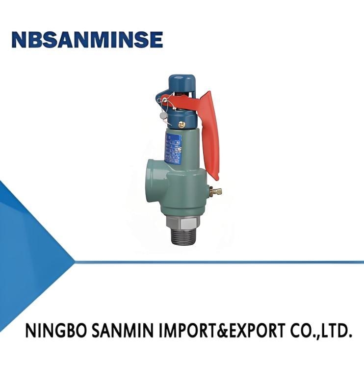 N Type Cast Iron Spring Safety Valve 35bar Wrench