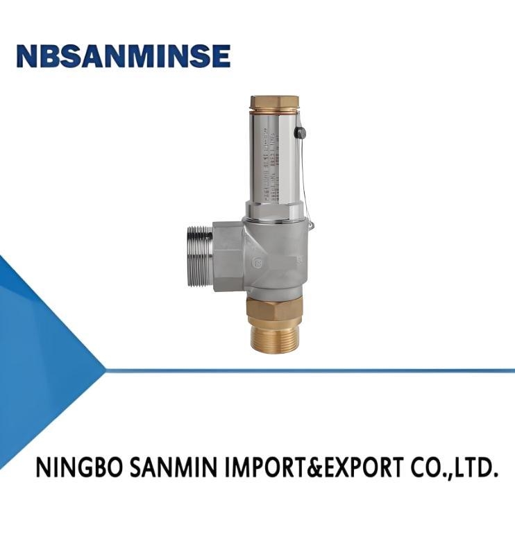 DA22F-25/40P(C) V Cryogenic Safety Valve Stainless Steel 65bar