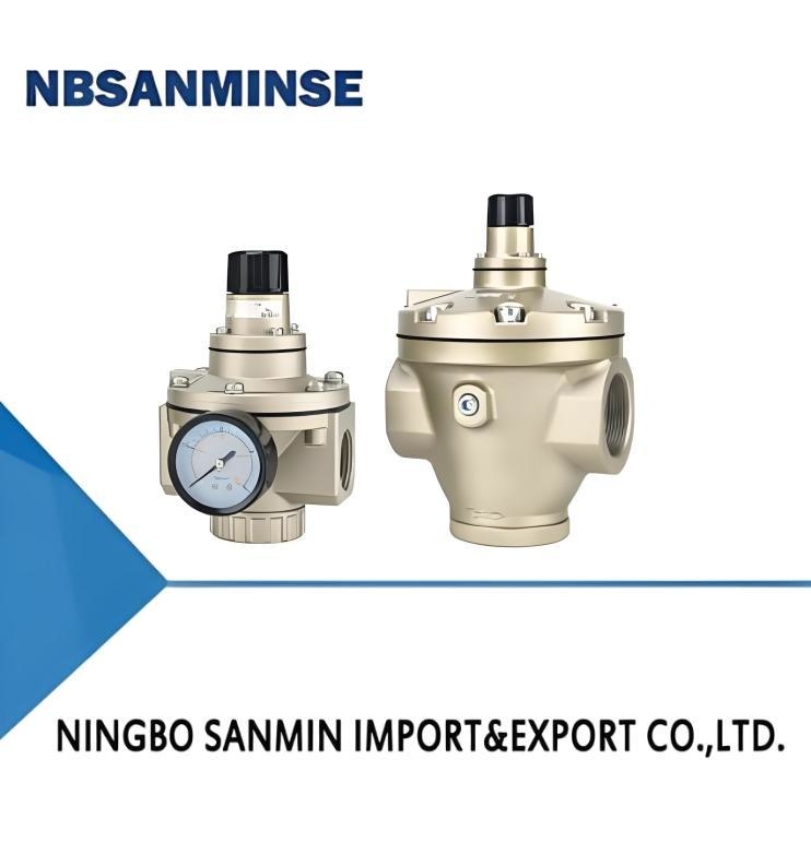 AR Series Pilot Operated Regulator