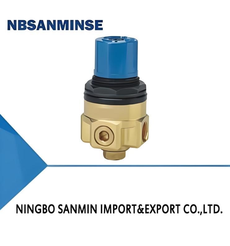 WR110 Series Water Regulator