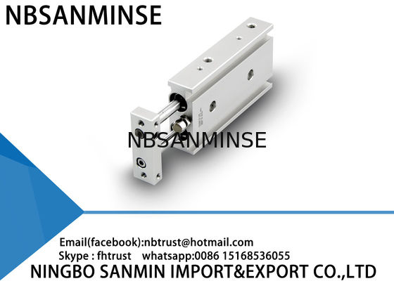 Custom Double Rod Pneumatic Air Cylinder Basic Type 6mm 10mm 15mm Bore Size