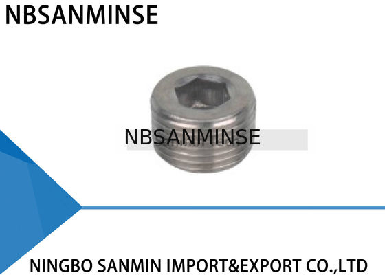 British Standard Taper Pipe Thread BP Transition Fitting Pneumatic Air Fitting