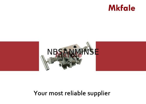 Mini High Pressure Needle Valve Gauge Valve Manifold For Natural Gas Metering Stainless Steel Valve