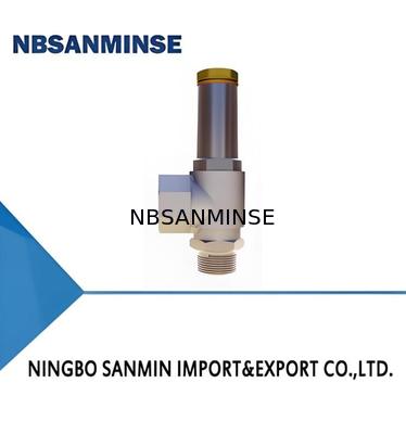 DA22F Cryogenic Safety Valve Stainless Steel 65bar NPT1